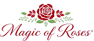 Magic of Roses