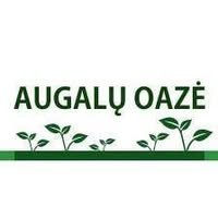 Augalų oazė