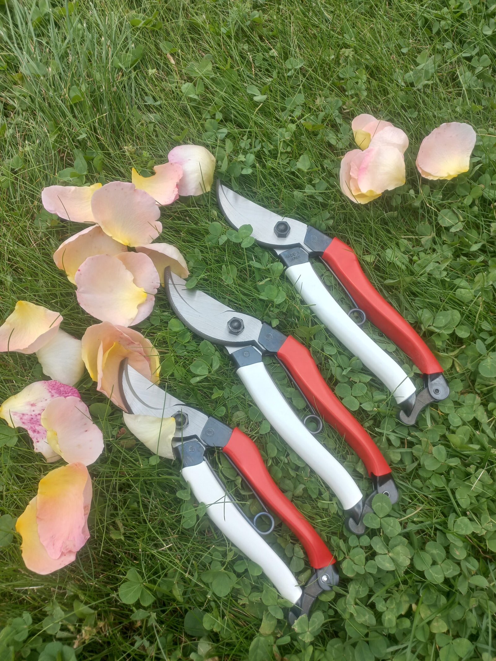 Okatsune 103 - Image 8