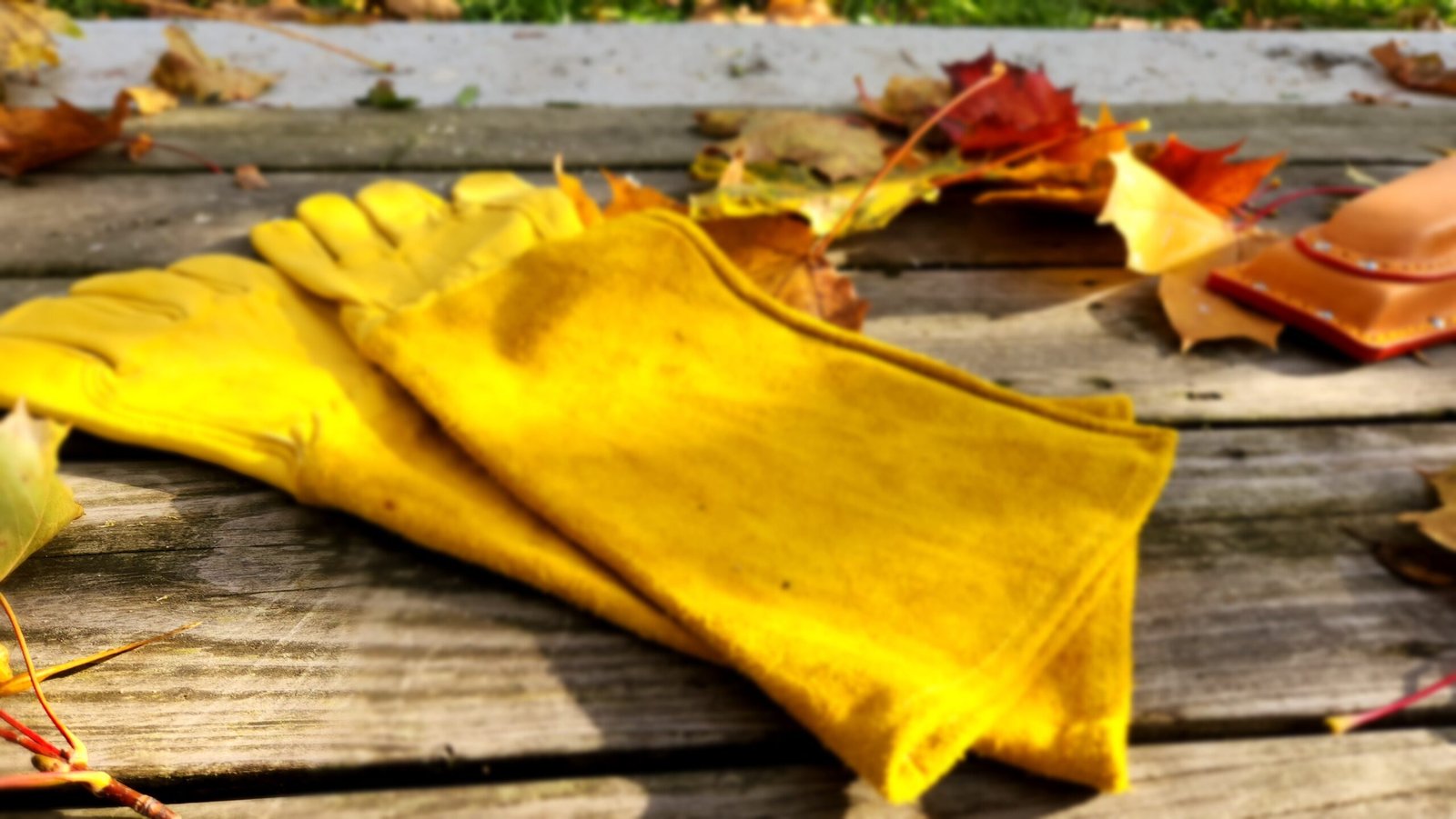 Ilgos odinės rožininkų pirštinės - Image 3