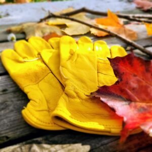 Rožininkų pirštinės