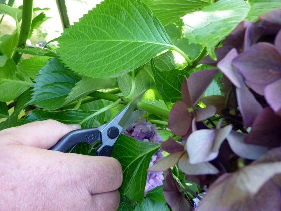 Okatsune 207 - Image 3