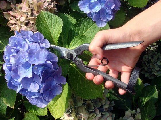 Okatsune 207 - Image 4