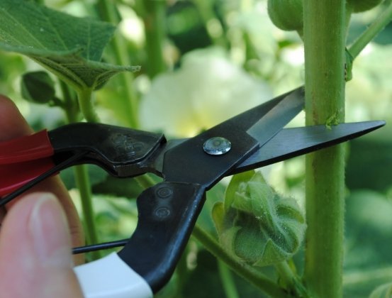 Okatsune 307 - Image 3