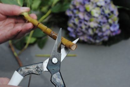 Okatsune 307 - Image 7