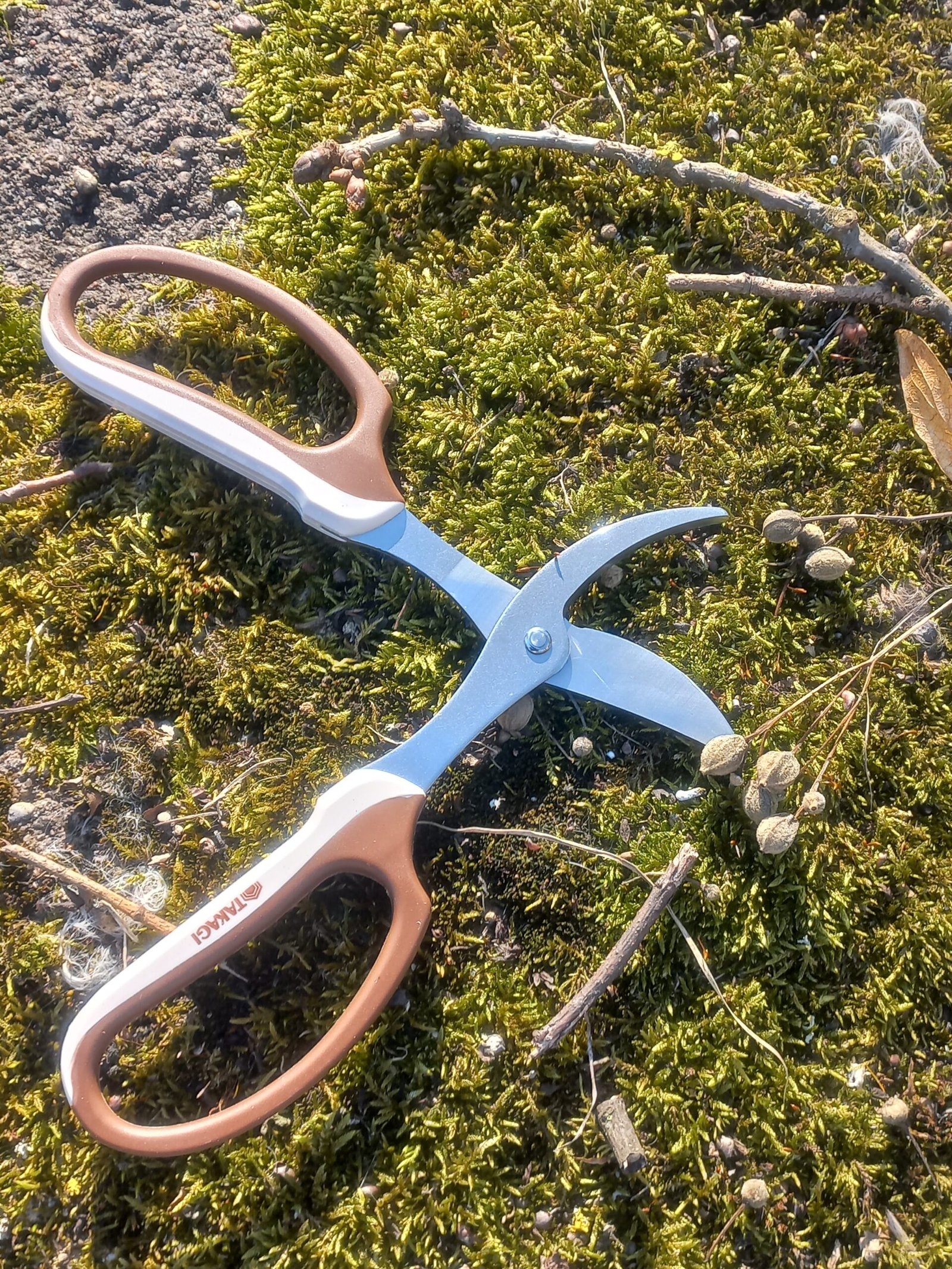 Fukuzen Takagi žirklės - Image 8