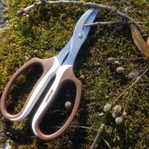 Fukuzen Takagi žirklės