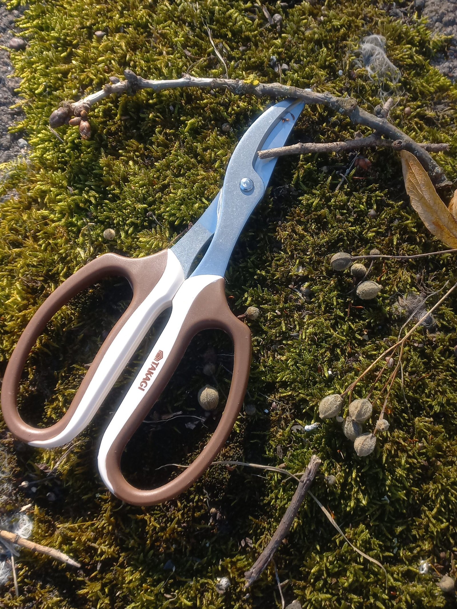 Fukuzen Takagi žirklės