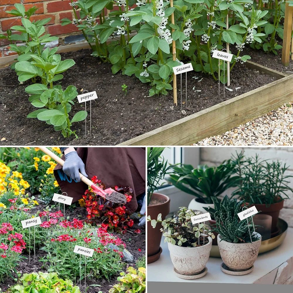 Augalų žymėjimo lentelės (15vnt) - Image 2