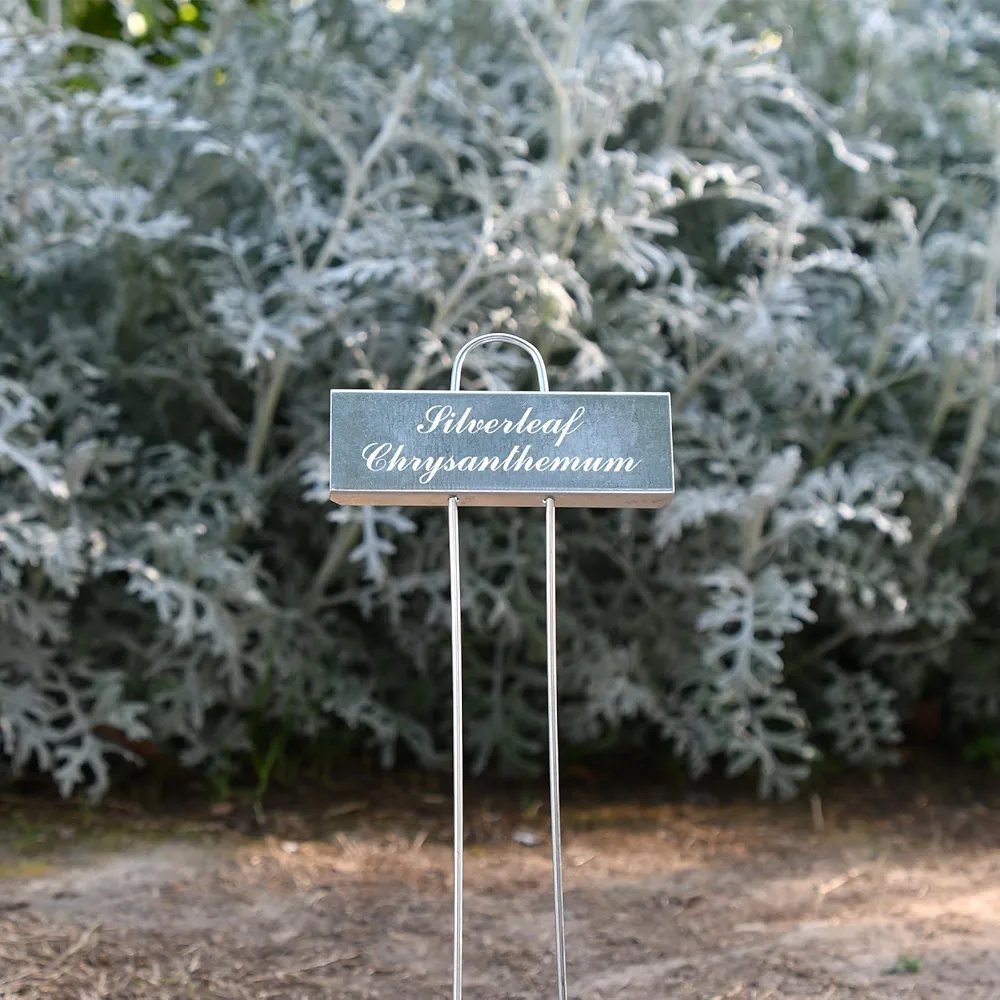 Augalų žymėjimo lentelės (15vnt)