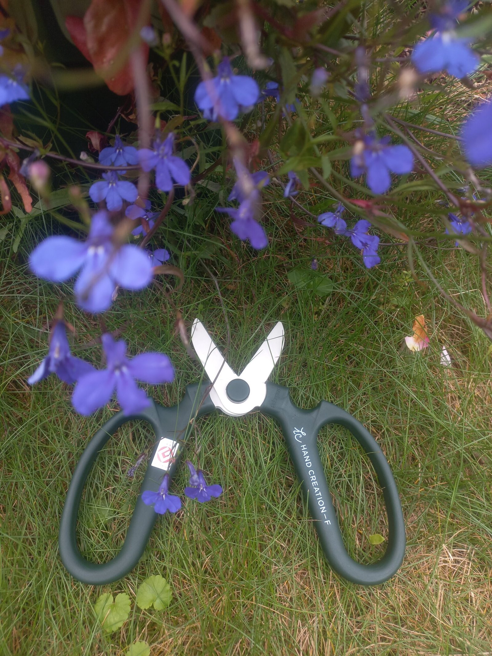 Sakagen F170 floristinės žirklės - Image 7