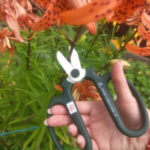 Sakagen F170 floristinės žirklės