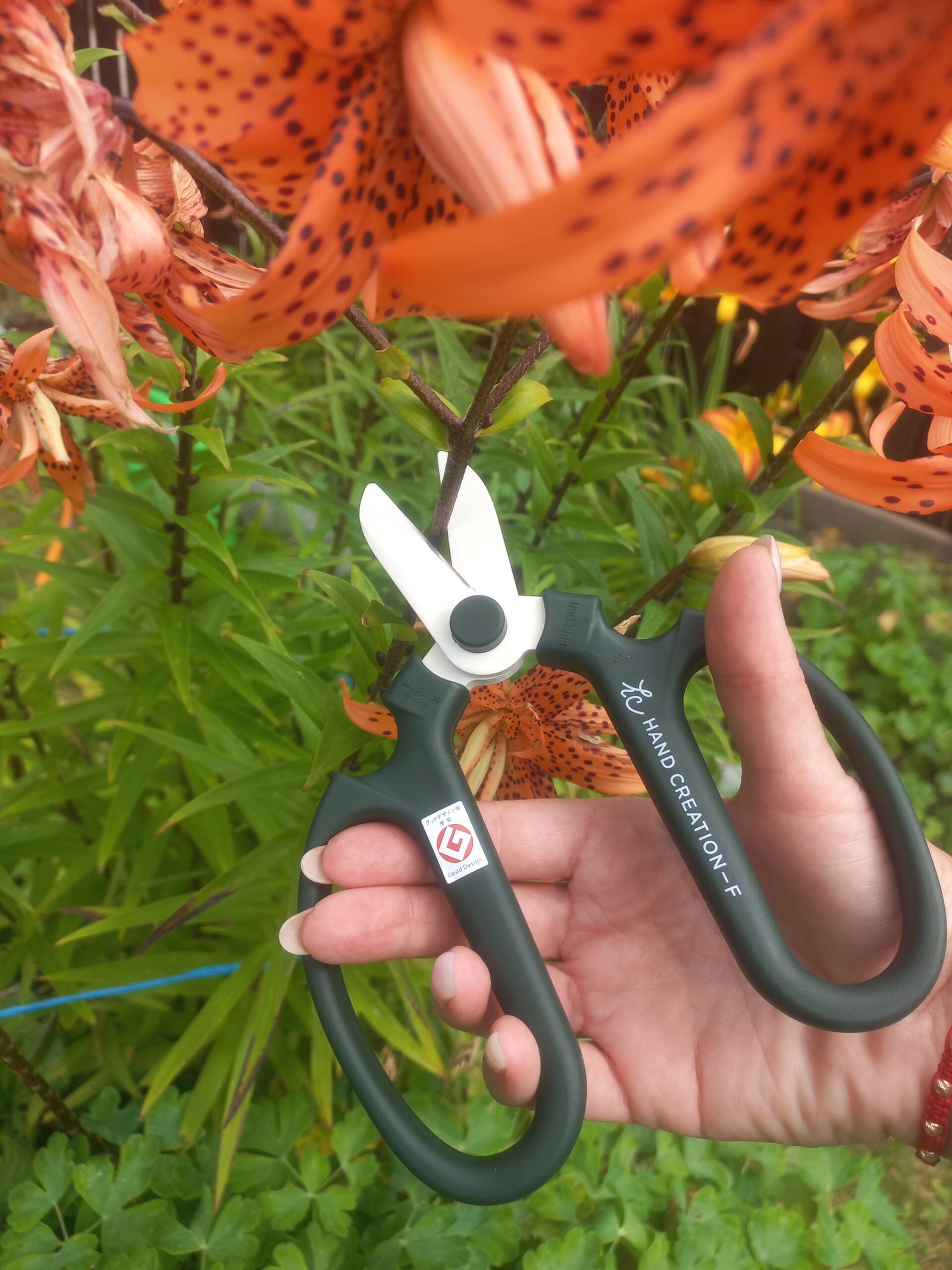 Sakagen F170 floristinės žirklės