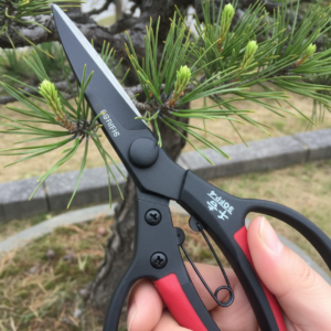 Senkichi SGFP-4 sodo žirklės