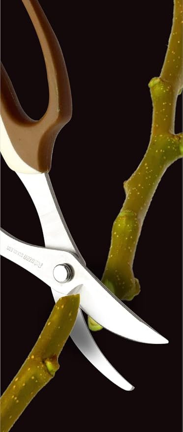 Fukuzen Takagi žirklės - Image 3