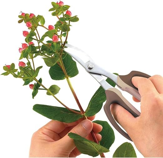 Fukuzen Takagi žirklės