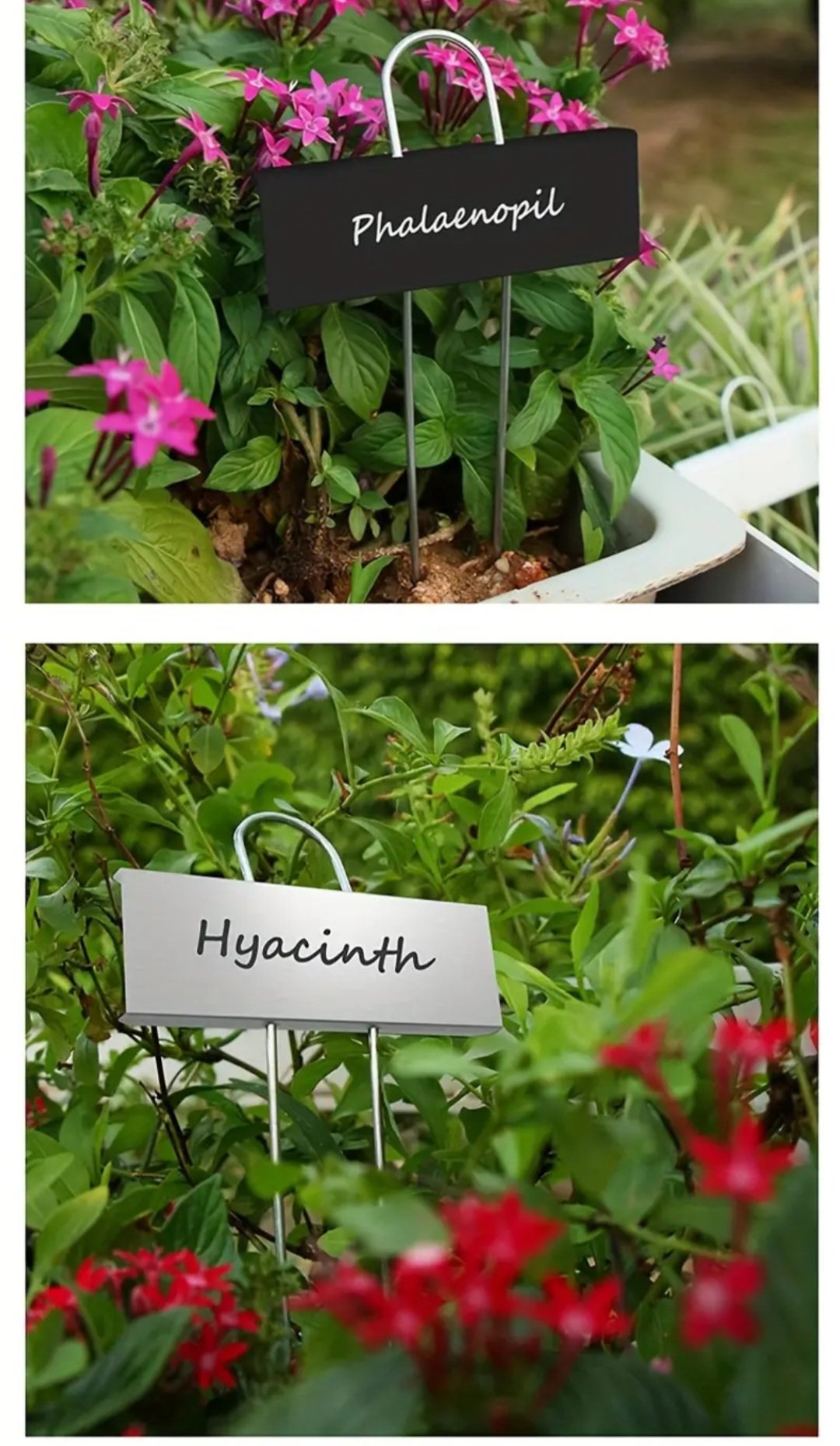 Augalų žymėjimo lentelės (15vnt) - Image 3