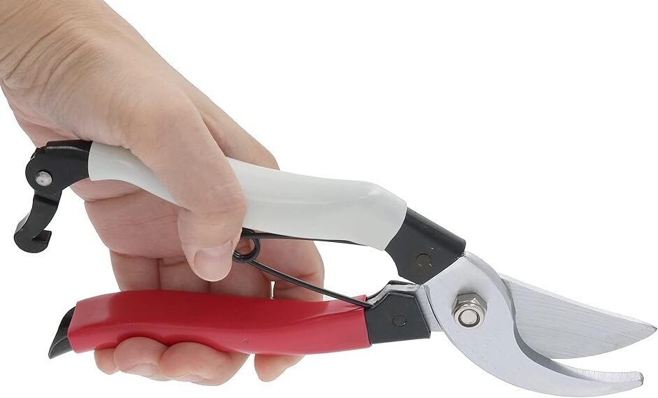 Sekatorius kairiarankiams Tagaki