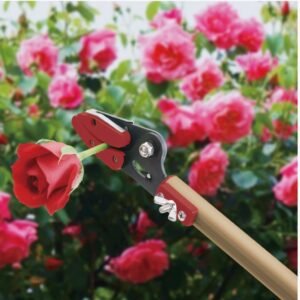 Takagi Long Shears o.6m