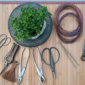 Bonsai įrankiai