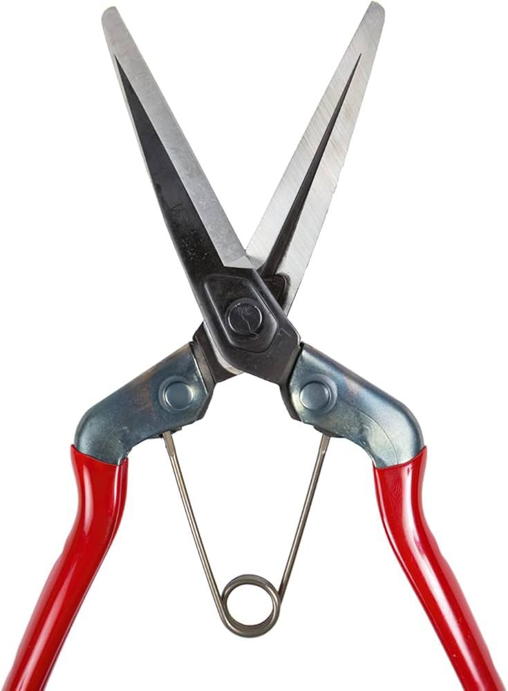 Chikamasa T-700 - Image 2