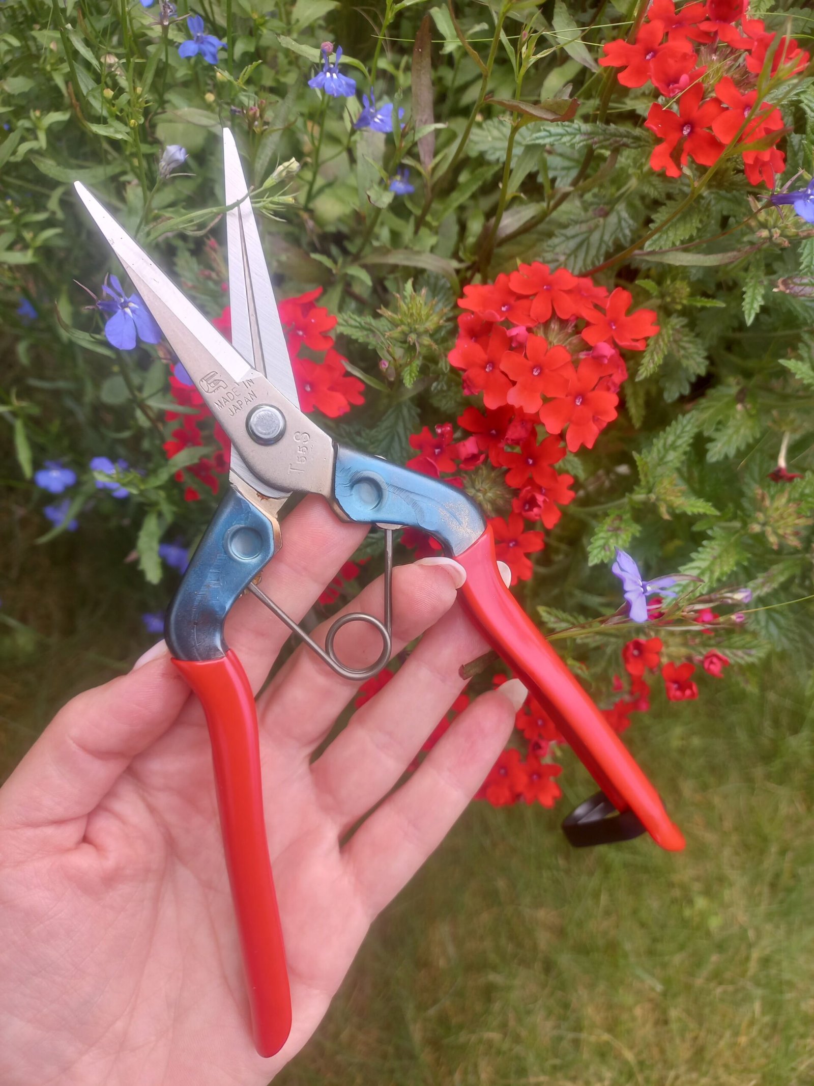 Chikamasa T-550S - Image 5