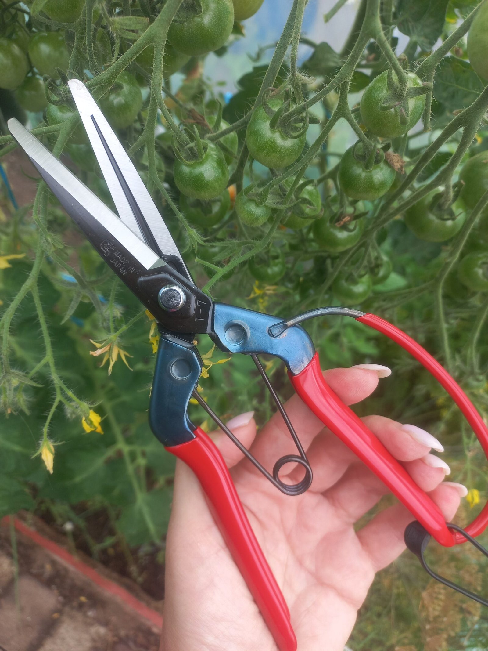 Chikamasa T-700G - Image 2