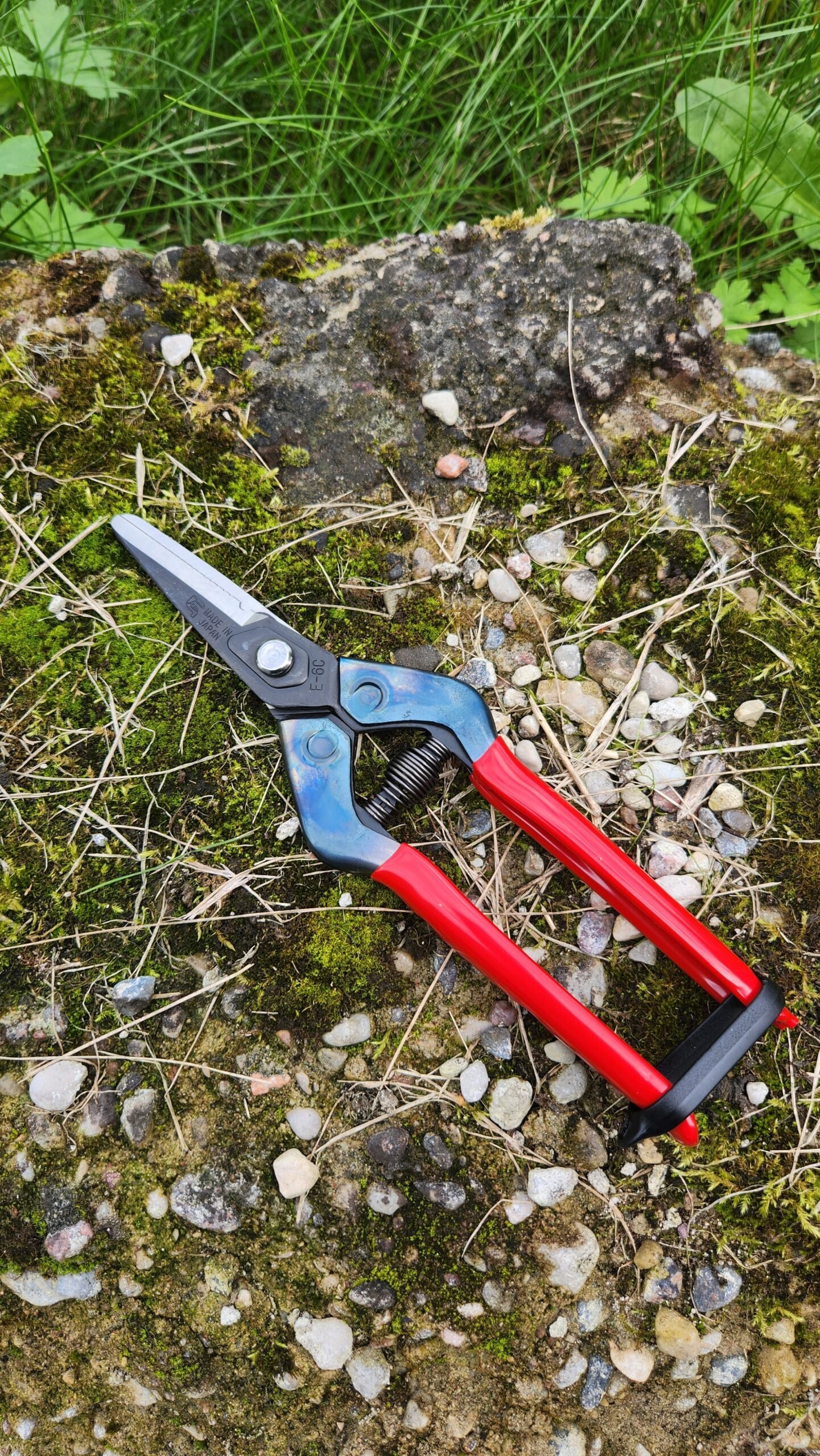 Chikamasa E-6C - Image 2