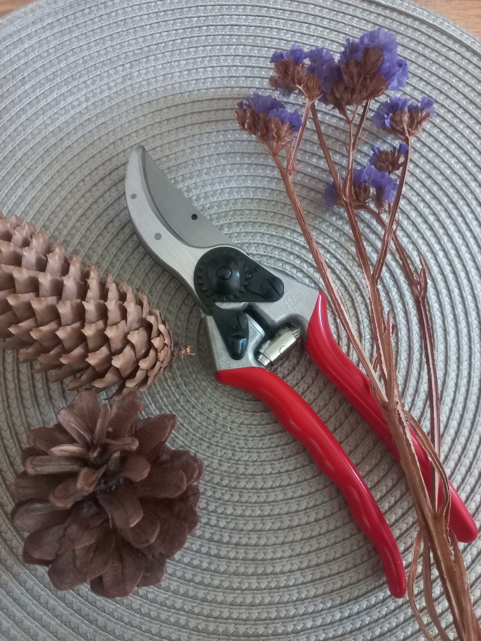 Felco 6+Felco 500 - Image 5