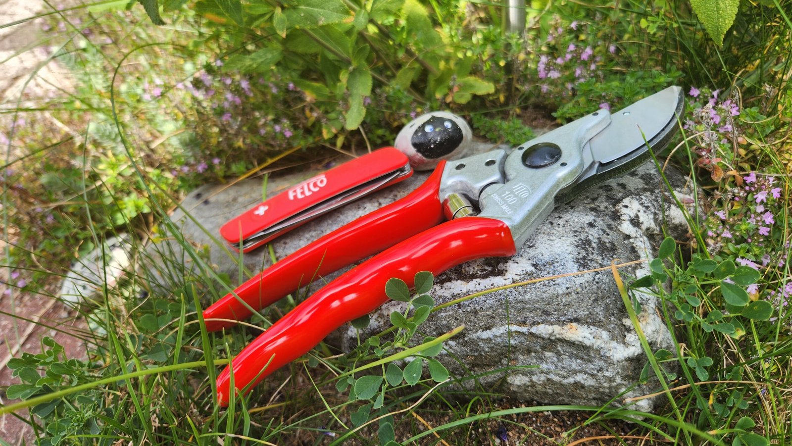 Felco 6+Felco 500