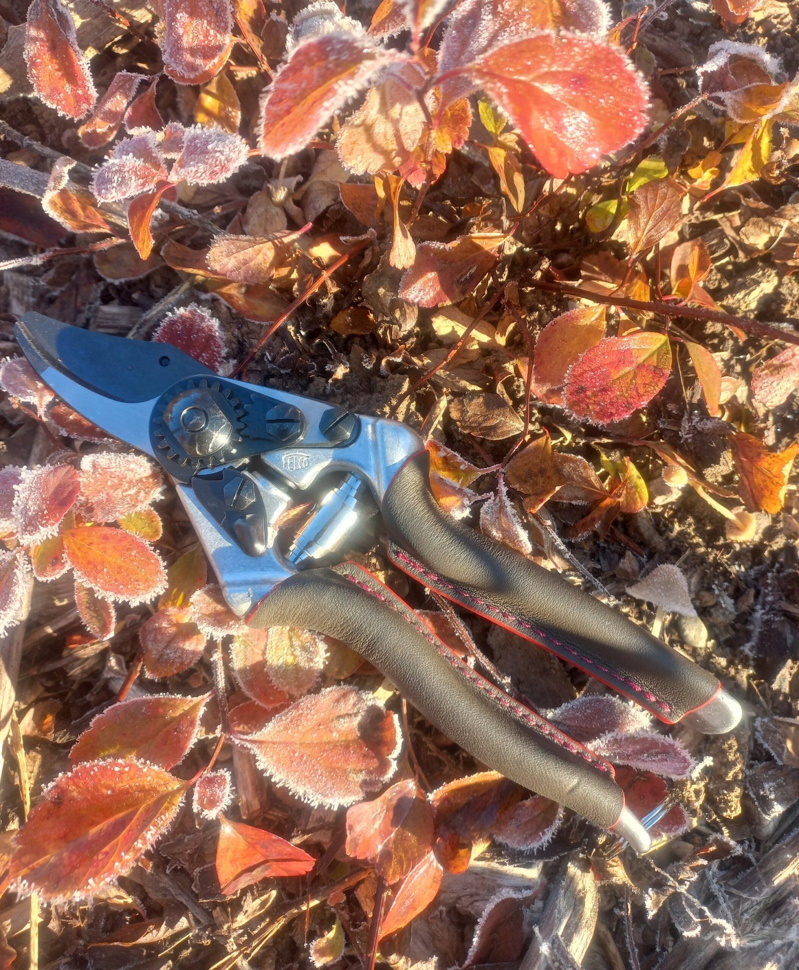 Felco 6 Elite - Image 3