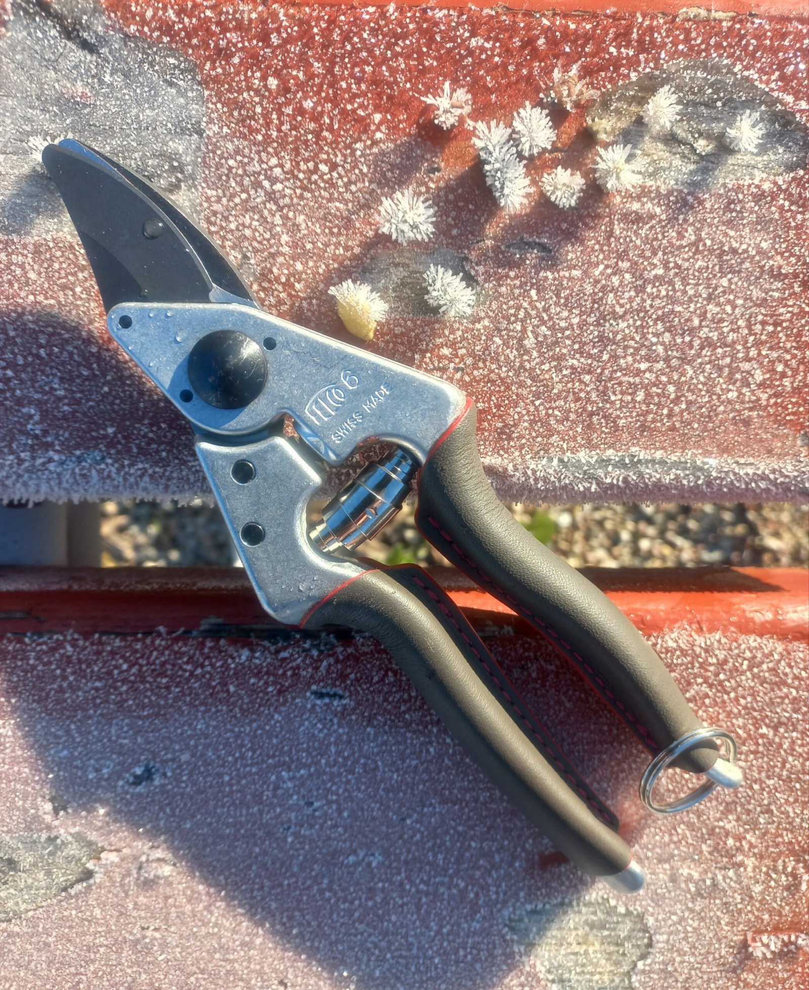Felco 6 Elite - Image 2