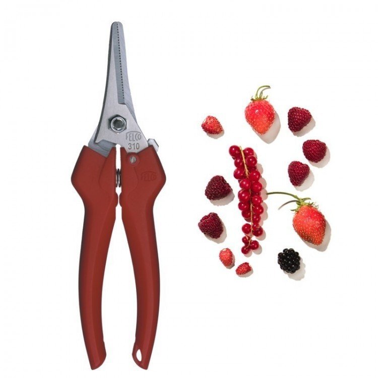 Felco 310 - Image 2