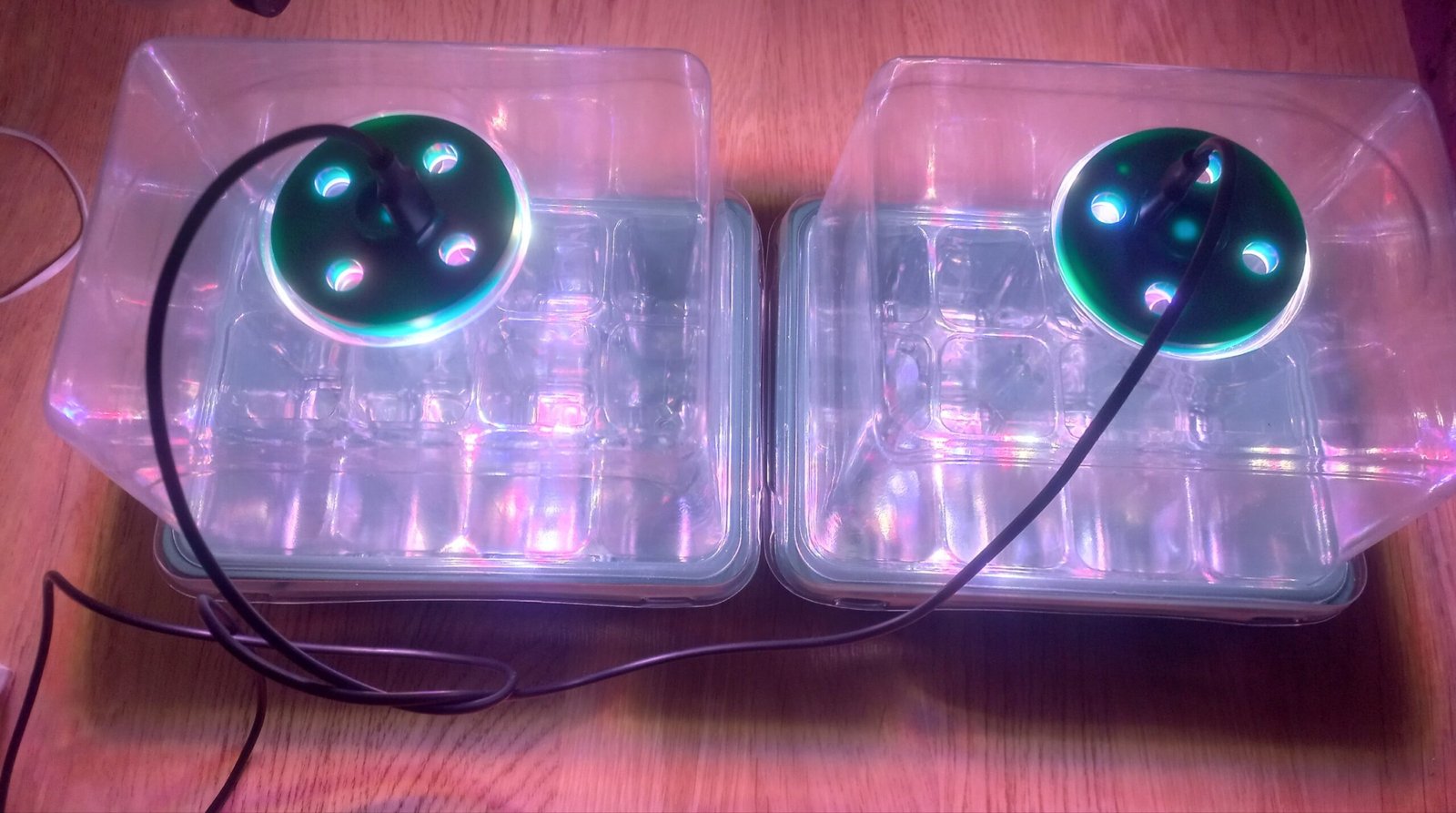 Daigykla su fitolempomis ir pulteliu - Image 7