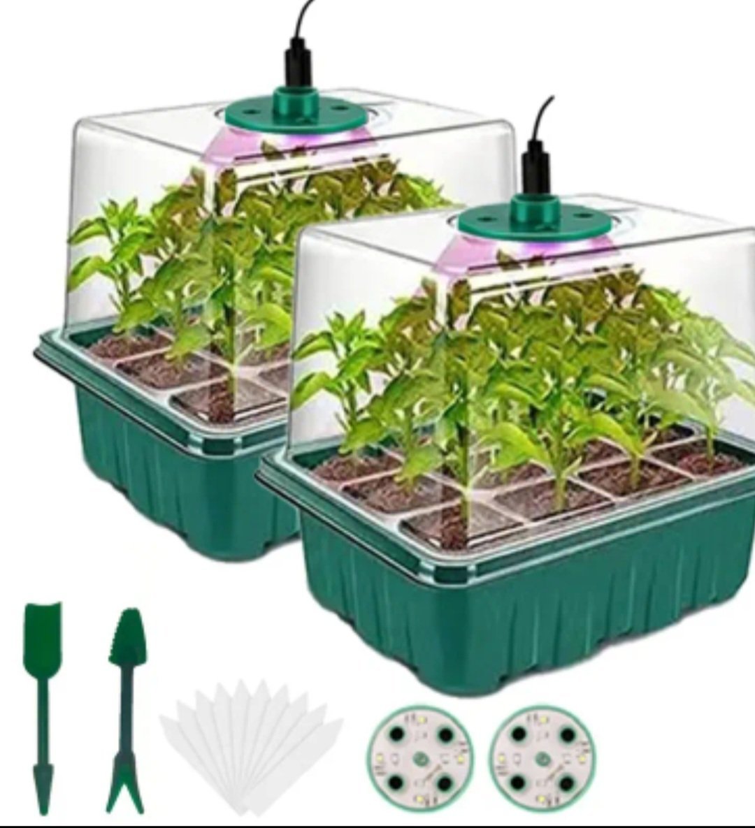 Daigykla su fitolempomis ir pulteliu - Image 2