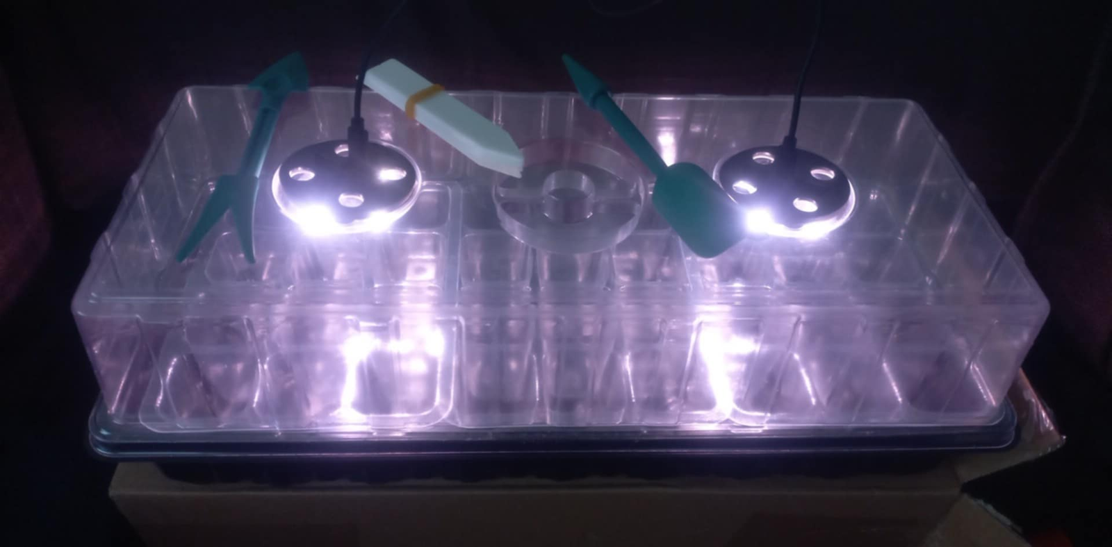 Dydelė daigykla su fitolempomis - Image 2