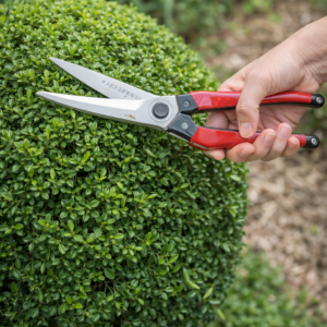 Takagi ST-04 žirklės