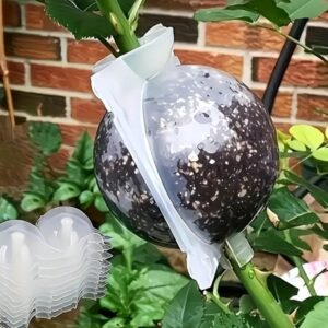 Augalų įsišaknijimo kamuoliukas