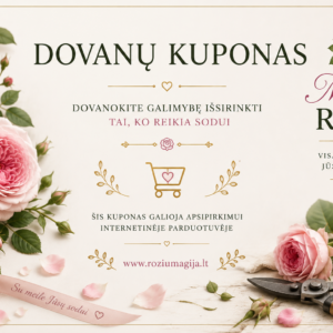 Dovanų kuponas (pasirenkama suma)